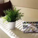 Apartman Odette Zadar
