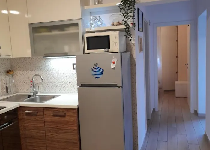 公寓 Odette 扎达尔